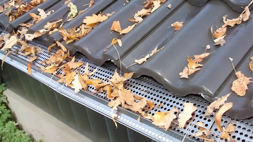 Grille pare-feuilles installée sur toute la longueur d'une gouttière — les feuilles glissent par-dessus tandis que l'eau de pluie s'écoule librement vers la descente